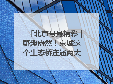 北京号最精彩｜野趣盎然！京城这个生态桥连通两大网红公园