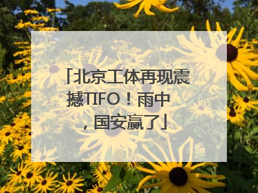 北京工体再现震撼TIFO！雨中，国安赢了