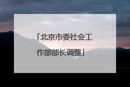 北京市委社会工作部部长调整