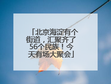 北京海淀有个街道，汇聚齐了56个民族！今天有场大聚会