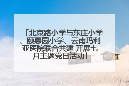 北京路小学与东庄小学、颐惠园小学、云南玛利亚医院联合共建 开展七月主题党日活动