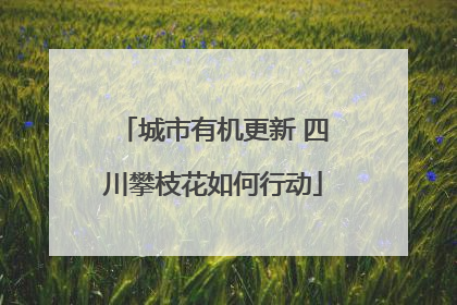 城市有机更新 四川攀枝花如何行动