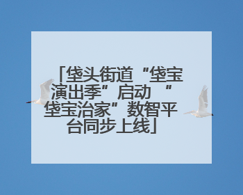 垡头街道“垡宝演出季”启动 “垡宝治家”数智平台同步上线