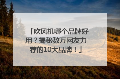 吹风机哪个品牌好用？揭秘数万网友力荐的10大品牌！