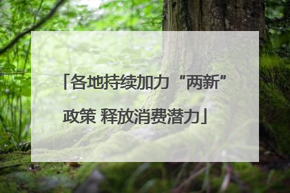 各地持续加力“两新”政策 释放消费潜力