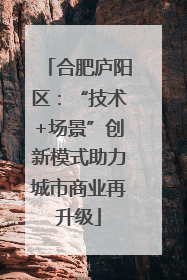 合肥庐阳区：“技术+场景”创新模式助力城市商业再升级