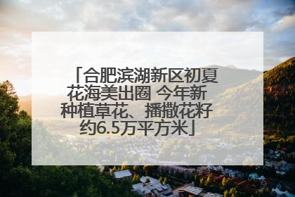 合肥滨湖新区初夏花海美出圈 今年新种植草花、播撒花籽约6.5万平方米