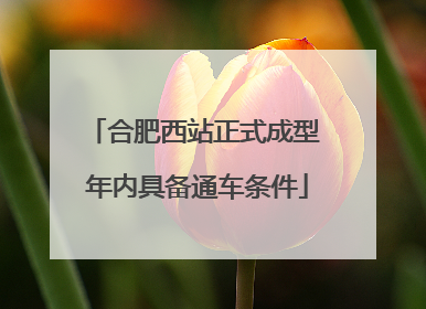 合肥西站正式成型 年内具备通车条件