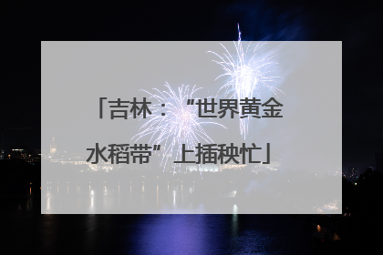吉林：“世界黄金水稻带”上插秧忙