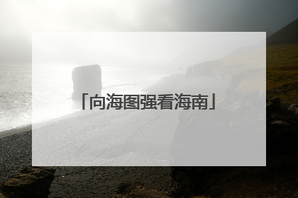 向海图强看海南
