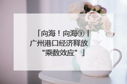 向海！向海③丨广州港口经济释放“乘数效应”