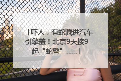 吓人，有蛇藏进汽车引擎盖！北京9天接9起“蛇警”……