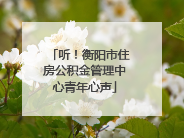听！衡阳市住房公积金管理中心青年心声