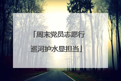 周末党员志愿行 巡河护水显担当