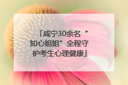 咸宁30余名“知心姐姐”全程守护考生心理健康