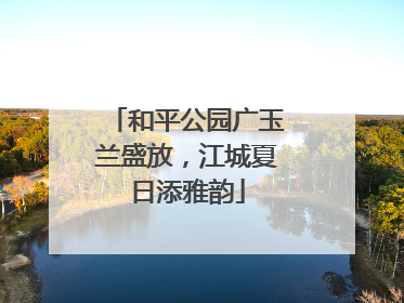 和平公园广玉兰盛放，江城夏日添雅韵