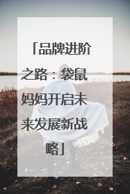 品牌进阶之路：袋鼠妈妈开启未来发展新战略