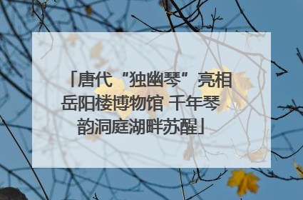 唐代“独幽琴”亮相岳阳楼博物馆 千年琴韵洞庭湖畔苏醒