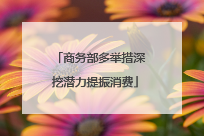 商务部多举措深挖潜力提振消费