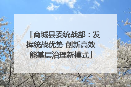 商城县委统战部：发挥统战优势 创新高效能基层治理新模式