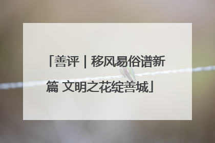 善评｜移风易俗谱新篇 文明之花绽善城