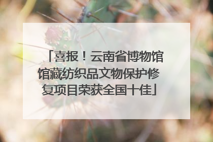 喜报！云南省博物馆馆藏纺织品文物保护修复项目荣获全国十佳