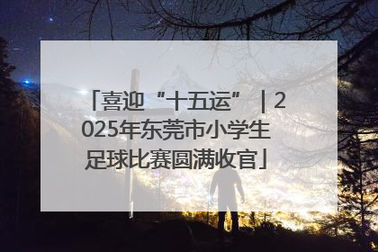 喜迎“十五运”｜2025年东莞市小学生足球比赛圆满收官