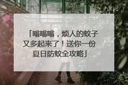 嗡嗡嗡，烦人的蚊子又多起来了！送你一份夏日防蚊全攻略