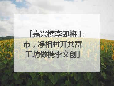 嘉兴槜李即将上市，净相村开共富工坊做槜李文创