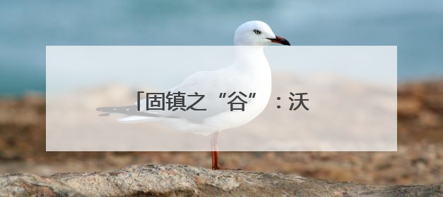 固镇之“谷”：沃野“智”变筑粮安