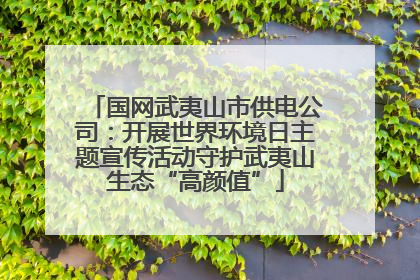 国网武夷山市供电公司：开展世界环境日主题宣传活动守护武夷山生态“高颜值”