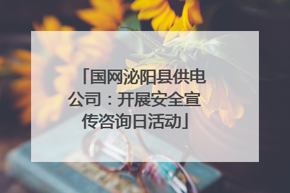国网泌阳县供电公司：开展安全宣传咨询日活动