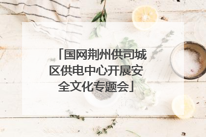 国网荆州供司城区供电中心开展安全文化专题会