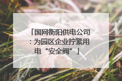 国网衡阳供电公司：为园区企业拧紧用电“安全阀”