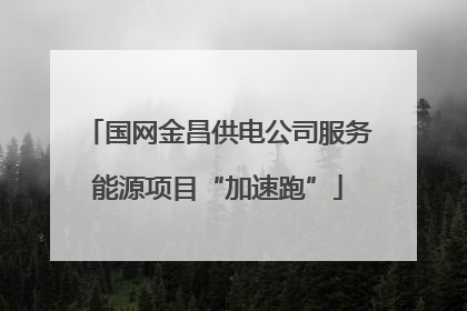 国网金昌供电公司服务能源项目“加速跑”