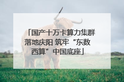 国产十万卡算力集群落地庆阳 筑牢“东数西算”中国底座