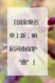 国家级名单上新，响起河南保护“曲”