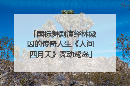 国标舞剧演绎林徽因的传奇人生《人间四月天》舞动鹭岛