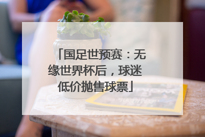 国足世预赛：无缘世界杯后，球迷低价抛售球票