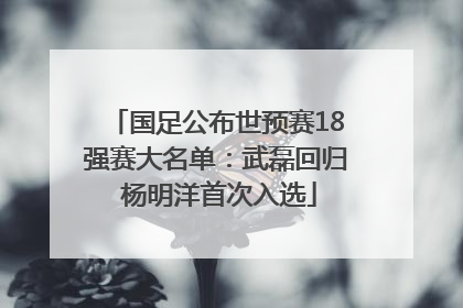国足公布世预赛18强赛大名单：武磊回归 杨明洋首次入选