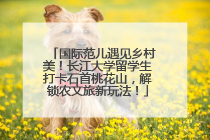 国际范儿遇见乡村美！长江大学留学生打卡石首桃花山，解锁农文旅新玩法！