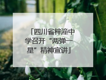 四川省梓潼中学召开“两弹一星”精神宣讲