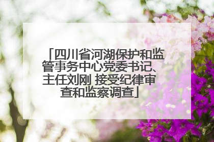 四川省河湖保护和监管事务中心党委书记、主任刘刚 接受纪律审查和监察调查