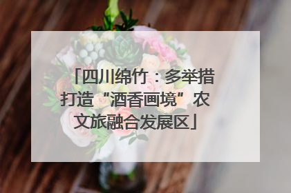 四川绵竹：多举措打造“酒香画境”农文旅融合发展区