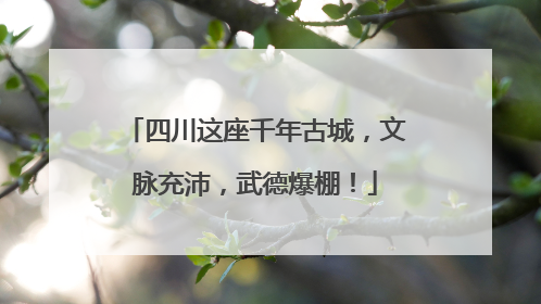 四川这座千年古城，文脉充沛，武德爆棚！