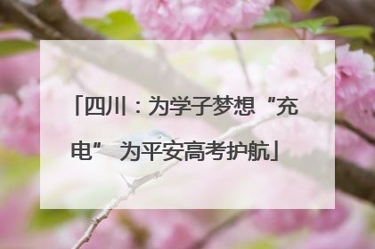 四川：为学子梦想“充电” 为平安高考护航