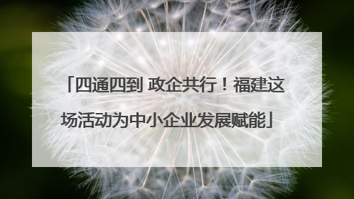 四通四到 政企共行！福建这场活动为中小企业发展赋能
