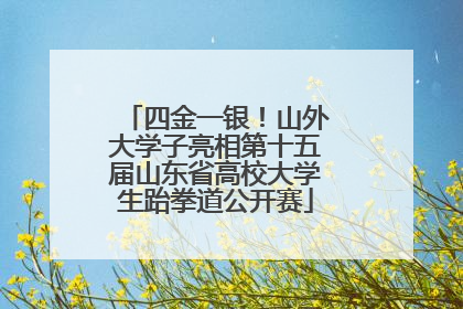 四金一银！山外大学子亮相第十五届山东省高校大学生跆拳道公开赛