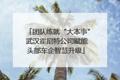 团队练就“大本事” 武汉霍尼特公司赋能头部车企智慧升级