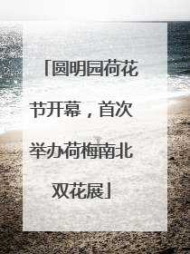 圆明园荷花节开幕，首次举办荷梅南北双花展